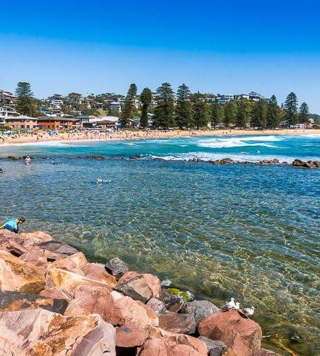Avoca Beach Central Coast
