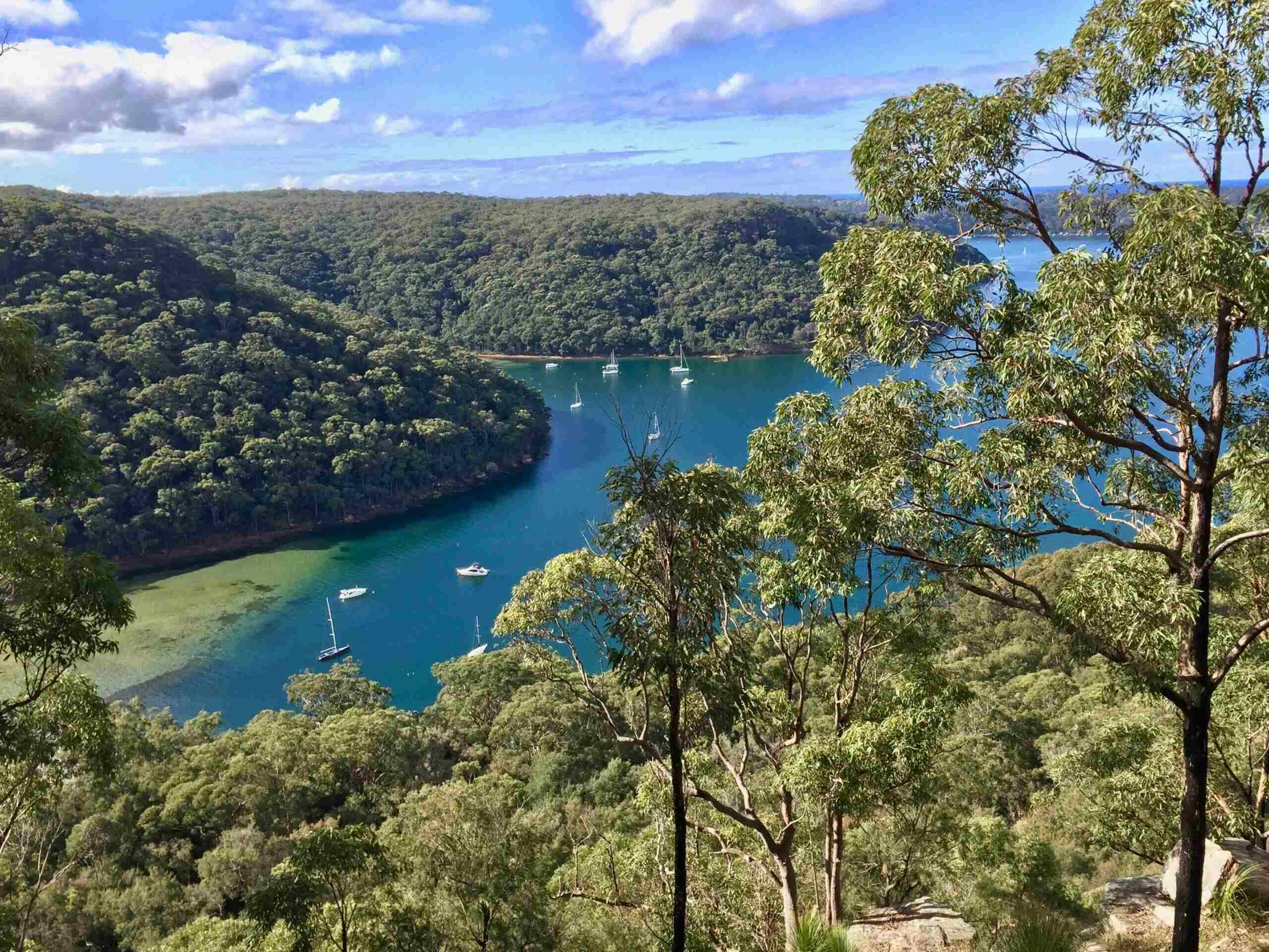Upper NSW